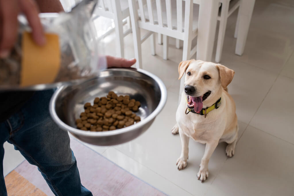 Role of Proteins in Dog Food