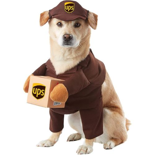 UPS Dog halloween costume