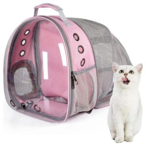 Top 15 Cute and Comfy Cat Backpack Ideas - Pets Nurturing