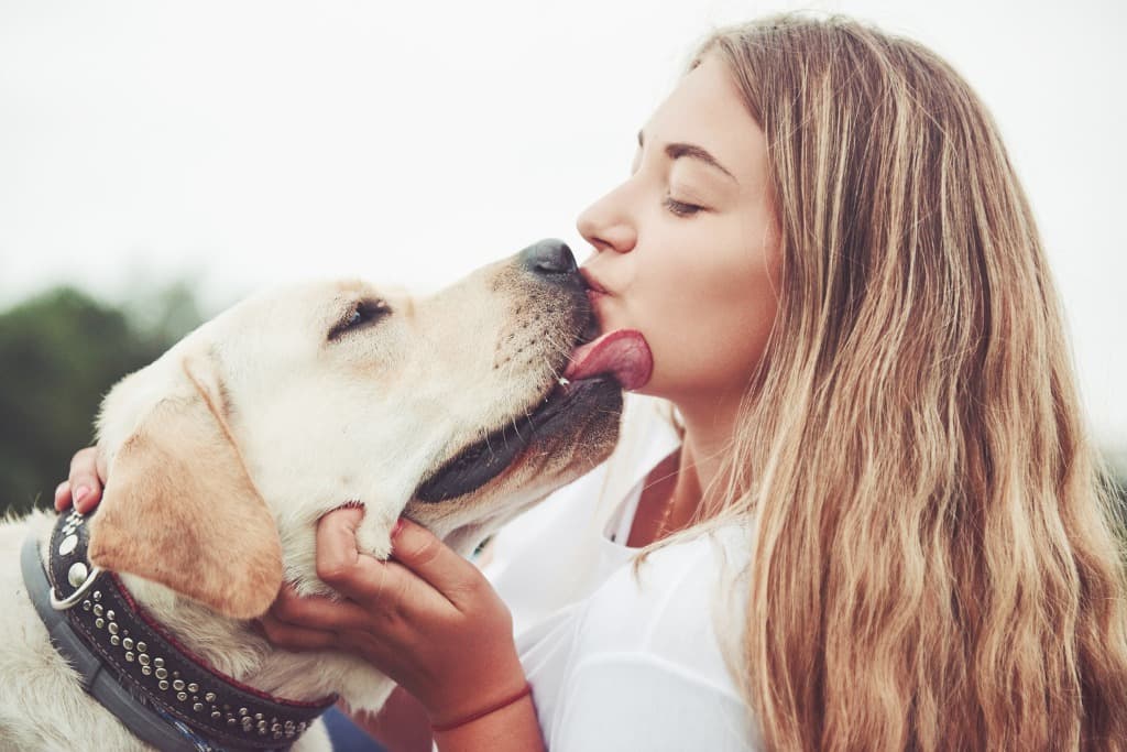 Is It Safe For Dogs To Lick You?