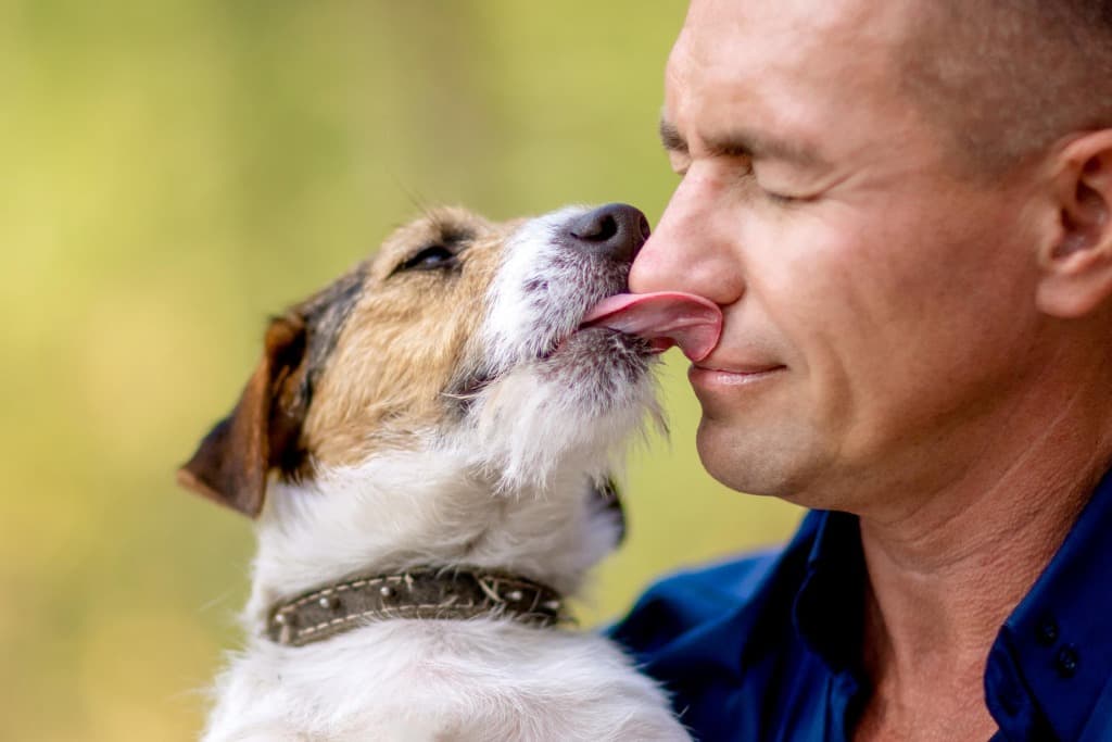 Why Does My Dog Lick Me So Much?