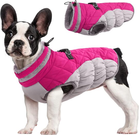 FUAMEY Dog Winter Coat