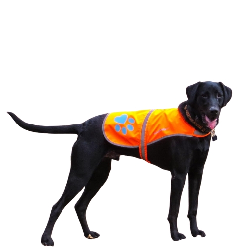 SafetyPUP XD Reflective Dog Vest