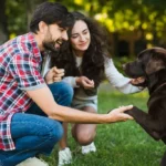 How To choose a right dog sitter