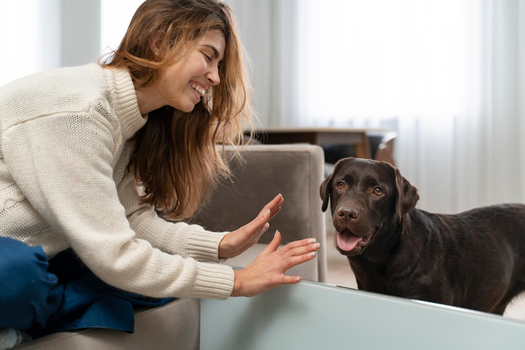 How to calm an anxious dog