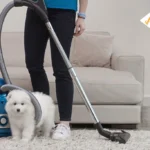 best vacuum for pet hair