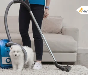 best vacuum for pet hair