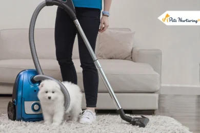 best vacuum for pet hair