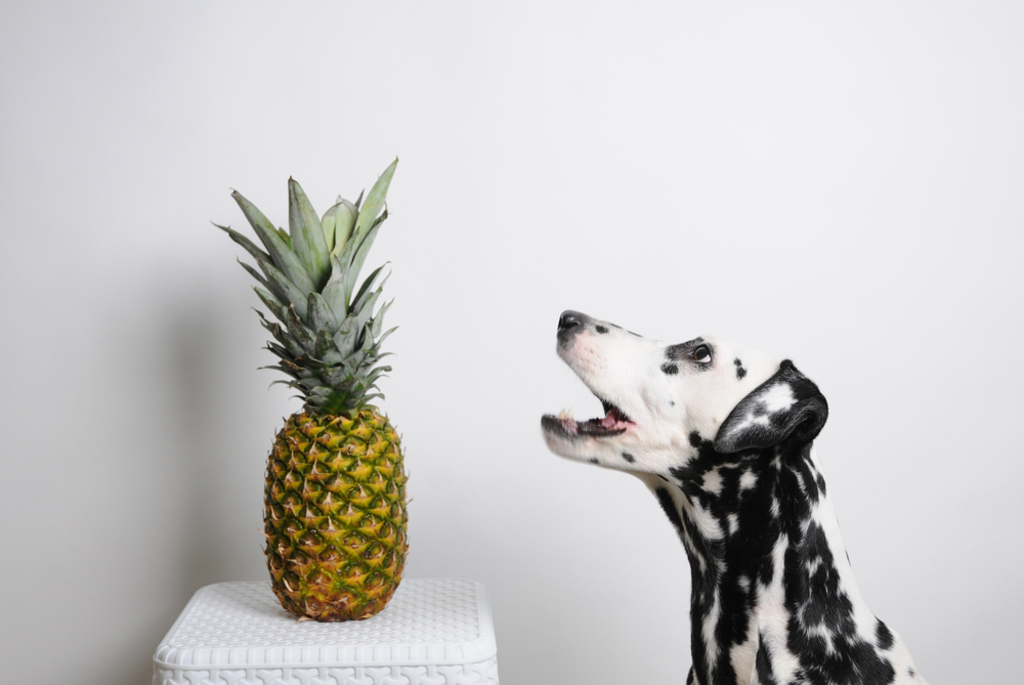 How Much Pineapple Can Dogs Eat