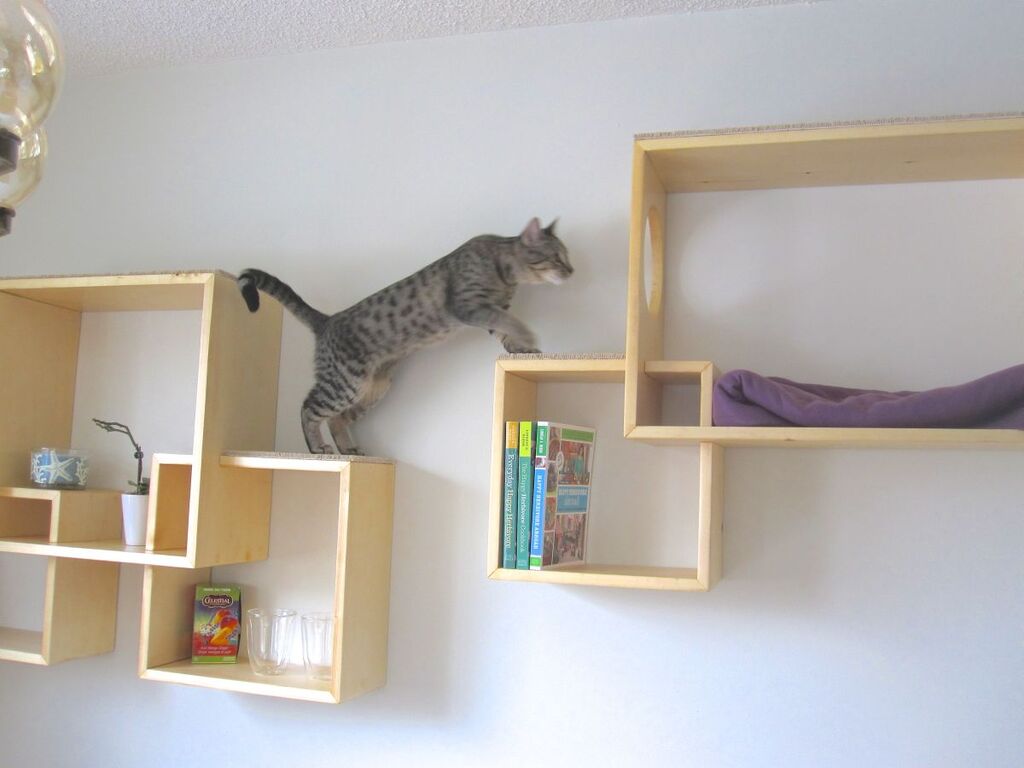 Stylish Cat Corner