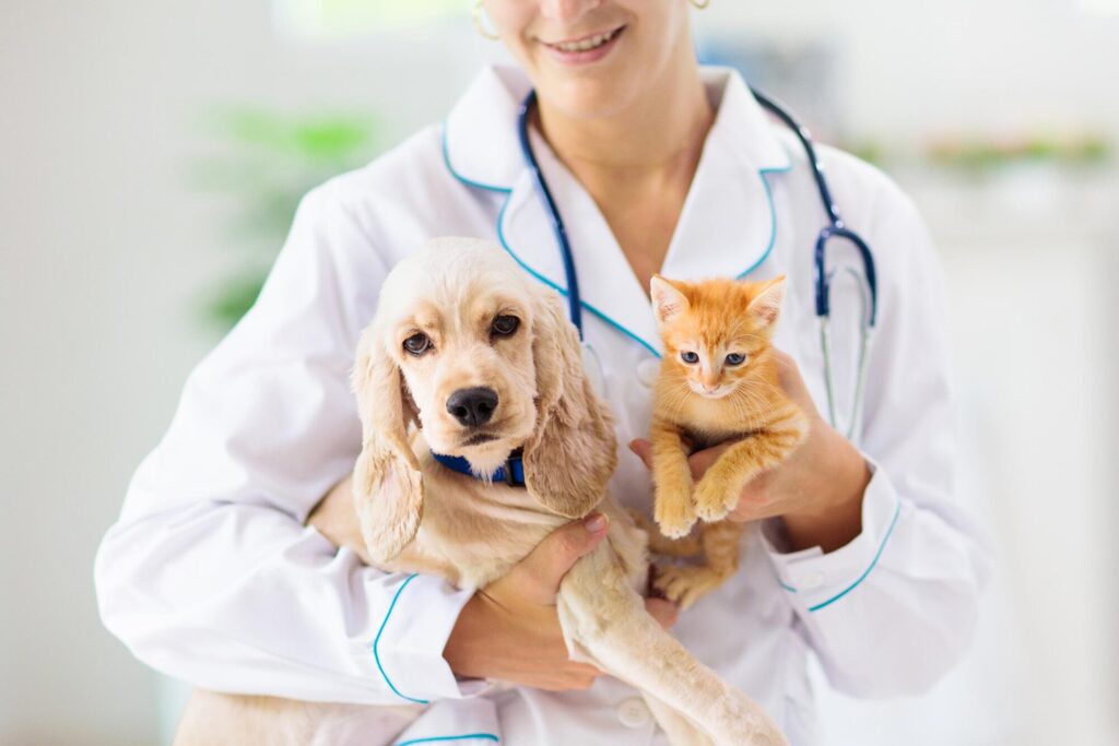 things to do in pet emergency