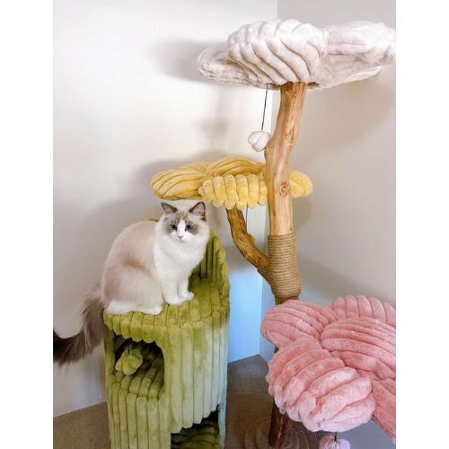 Ensuring Safety for Large Cats on Cat Trees