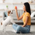 training your pet