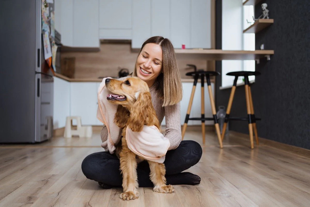 Exercise your pet in indoors